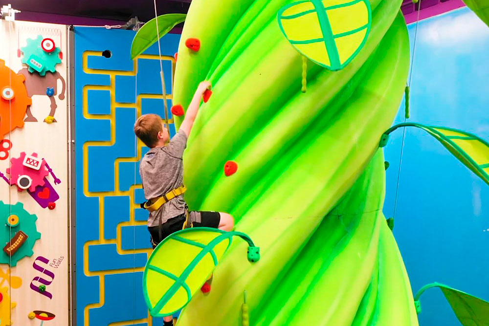 Guest On Climbing Wall